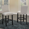 Avery Counter / Bar Stool (Set of 2)