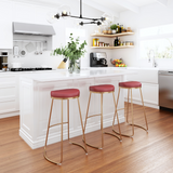 Bree Counter / Bar Stool (Set of 2)