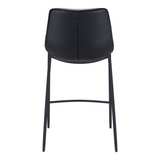 Magnus Counter / Bar Stool (Set of 2)