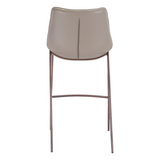 Magnus Counter / Bar Stool (Set of 2)