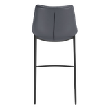 Magnus Counter / Bar Stool (Set of 2)