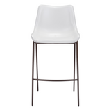 Magnus Counter / Bar Stool (Set of 2)