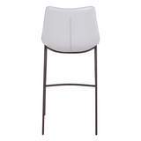 Magnus Counter / Bar Stool (Set of 2)